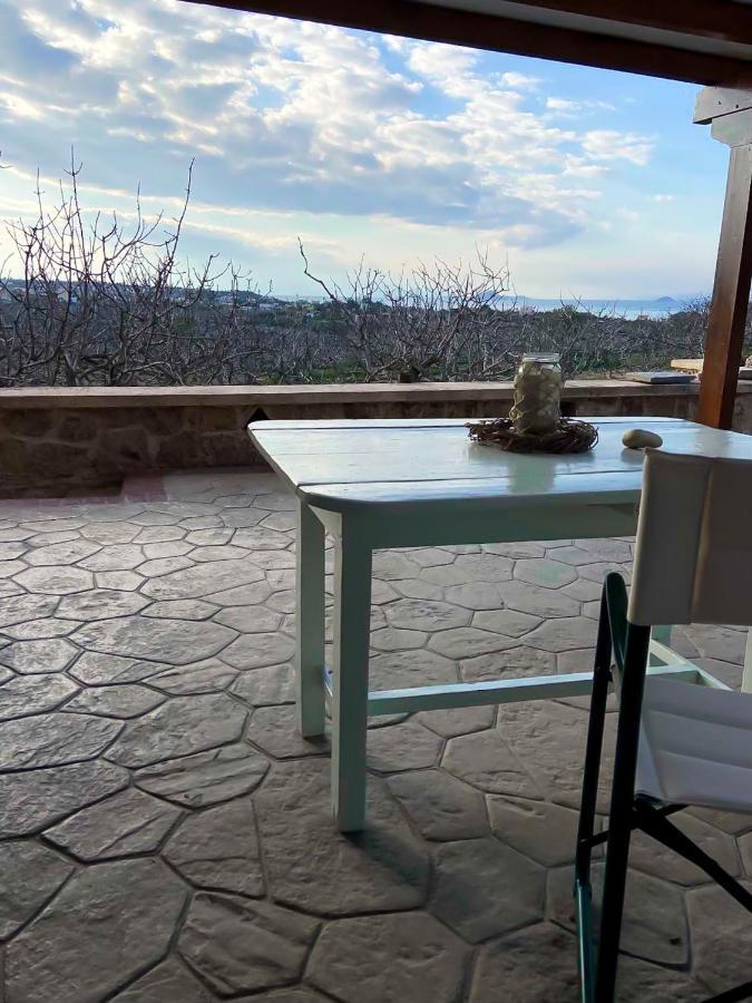 Pistachio Guesthouse, Παραδοσιακός Ξενώνας Vathi  Экстерьер фото