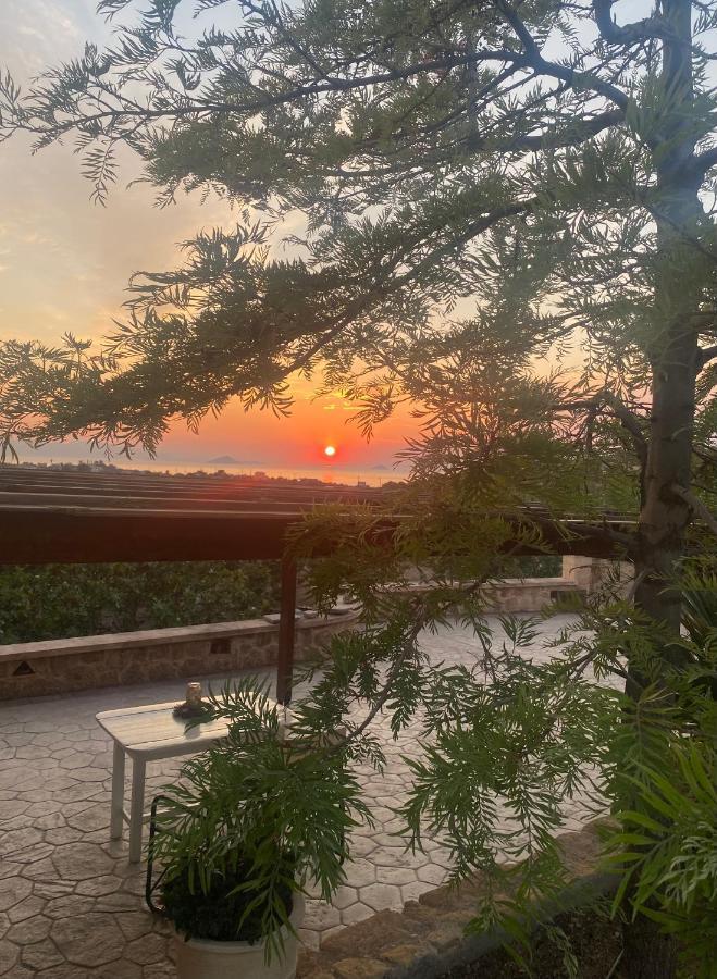 Pistachio Guesthouse, Παραδοσιακός Ξενώνας Vathi  Экстерьер фото