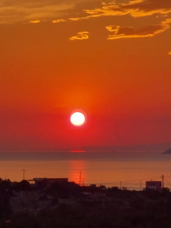 Pistachio Guesthouse, Παραδοσιακός Ξενώνας Vathi  Экстерьер фото